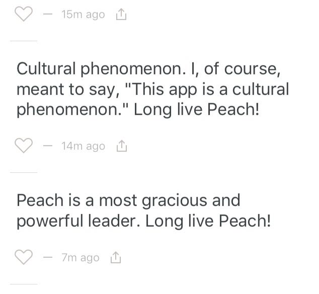 12528174_984588291621098_849767490_n